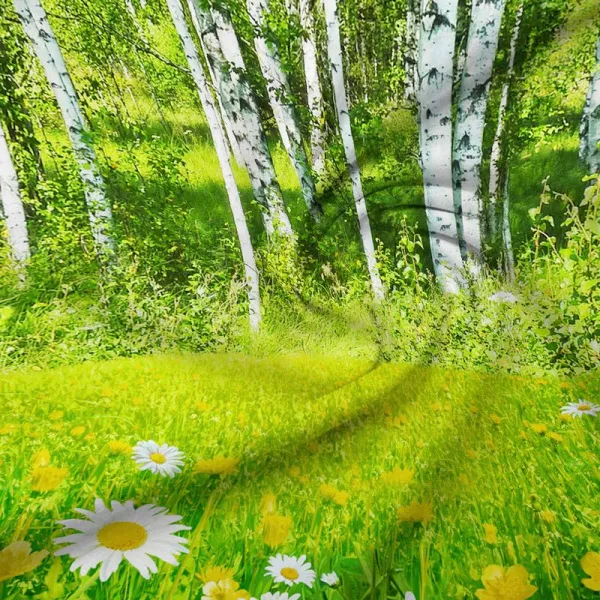 Пододеяльник Евромакси, бязь ГОСТ (Березовая роща 3 D)