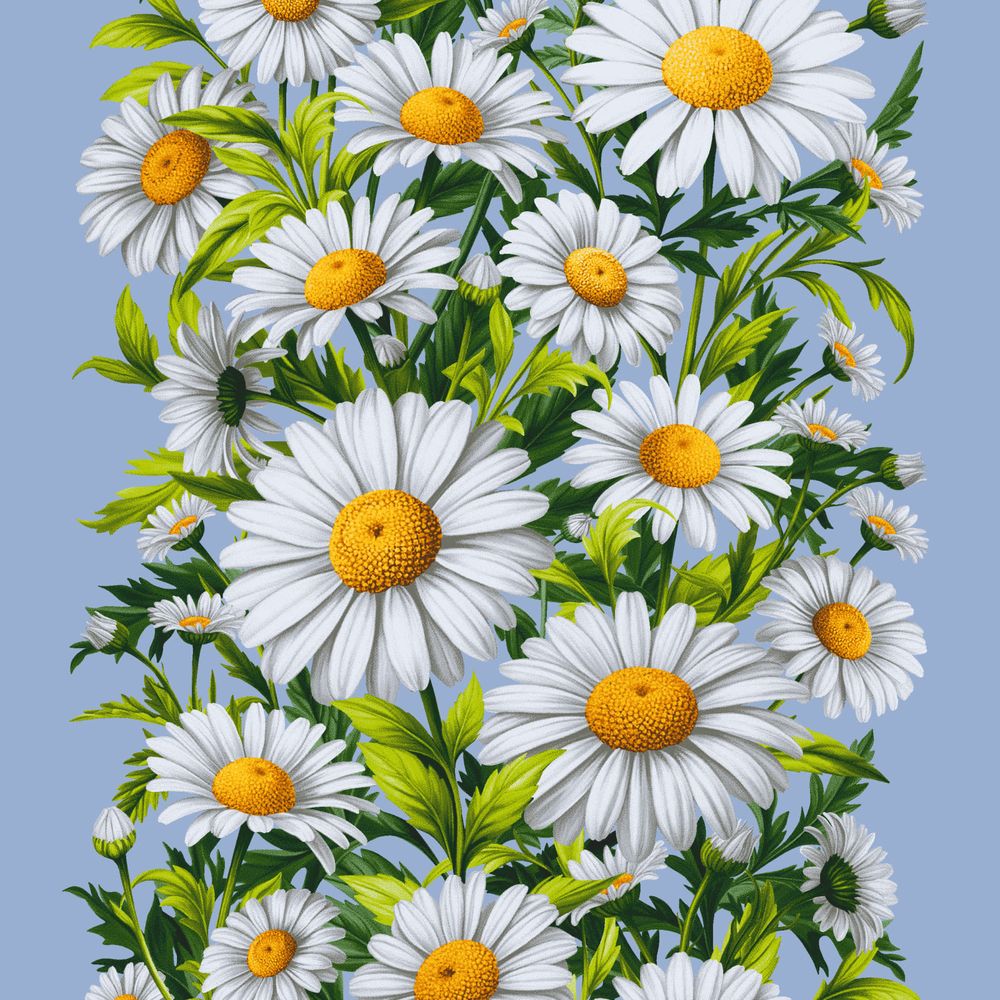 Полотенце 50*60 см вафельное (Ромашки, синий)