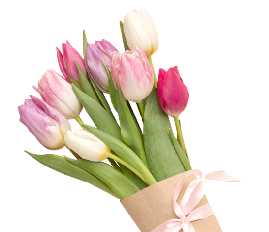 С 8 Марта! Желаем, чтобы весна наполнила жизнь яркими красками и каждый день дарил радость!