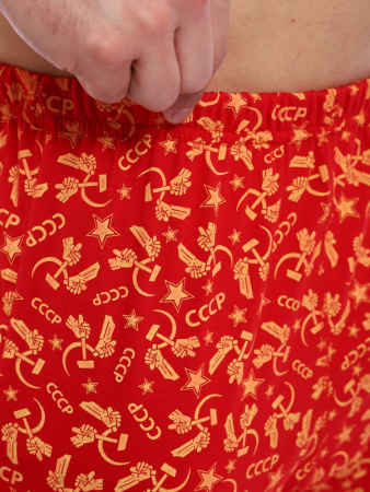 Трусы-боксеры, модель 212, трикотаж (Ностальжи)