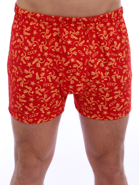 Трусы-боксеры, модель 212, трикотаж (Ностальжи)