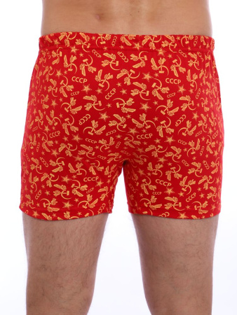 Трусы-боксеры, модель 212, трикотаж (Ностальжи)