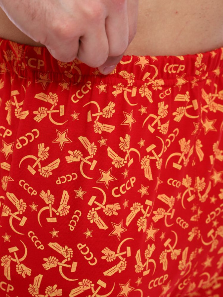 Трусы-боксеры, модель 212, трикотаж (Ностальжи)