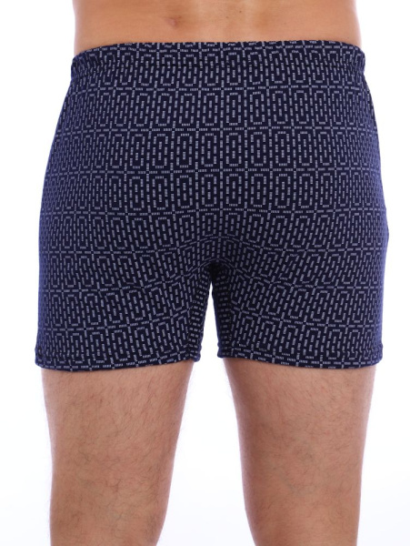 Трусы-боксеры, модель 212, трикотаж (Мерцание)