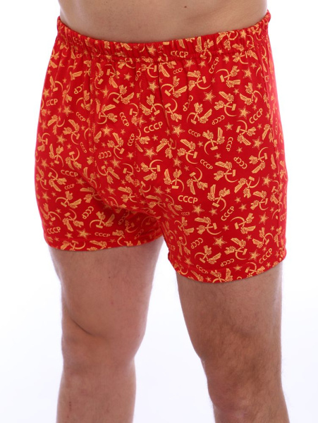 Трусы-боксеры, модель 212, трикотаж (Ностальжи)