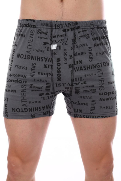 Трусы-боксеры, модель 212, трикотаж (Вояж, серый)