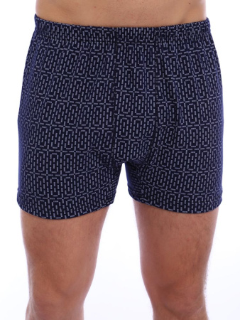 Трусы-боксеры, модель 212, трикотаж (Мерцание)
