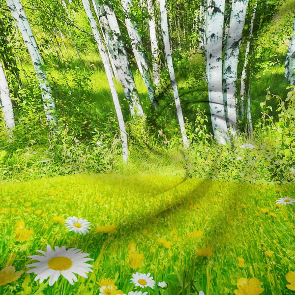 Наволочка 50*70 см, бязь ГОСТ, на клапане (Березовая роща 3 D)