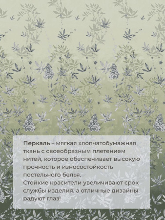 Простыня на резинке 200*200 см, перкаль, борт 25 см (Кассиопея, зеленый)