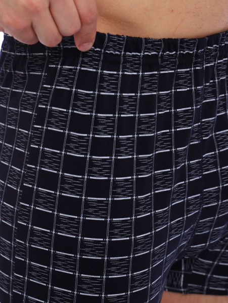 Трусы-боксеры, модель 212, трикотаж (Клетка)