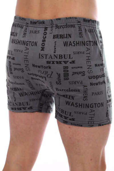 Трусы-боксеры, модель 212, трикотаж (Вояж, серый)