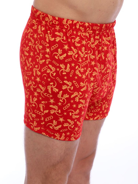 Трусы-боксеры, модель 212, трикотаж (Ностальжи)