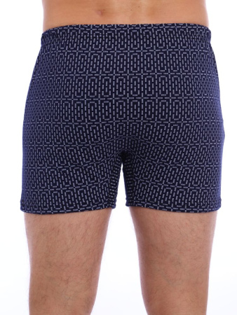Трусы-боксеры, модель 212, трикотаж (Мерцание)