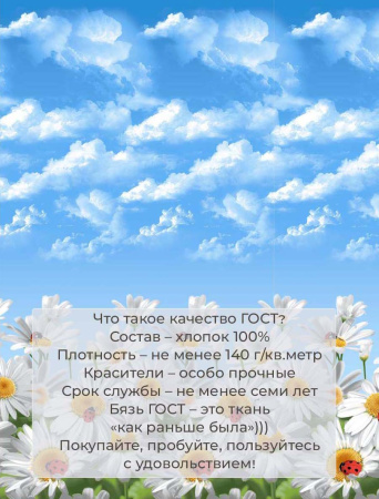 Комплект постельного белья Семейный, бязь  ГОСТ (Воздушные ромашки )