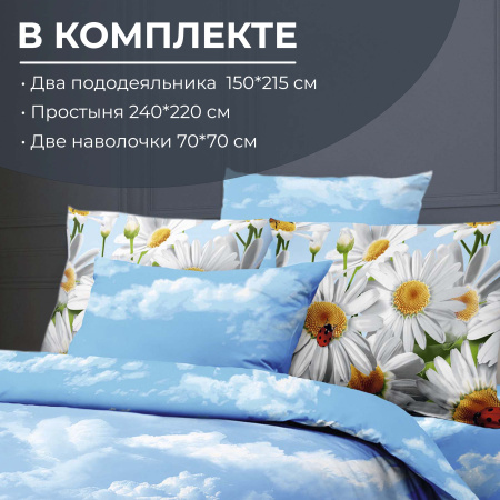 Комплект постельного белья Семейный, бязь  ГОСТ (Воздушные ромашки )