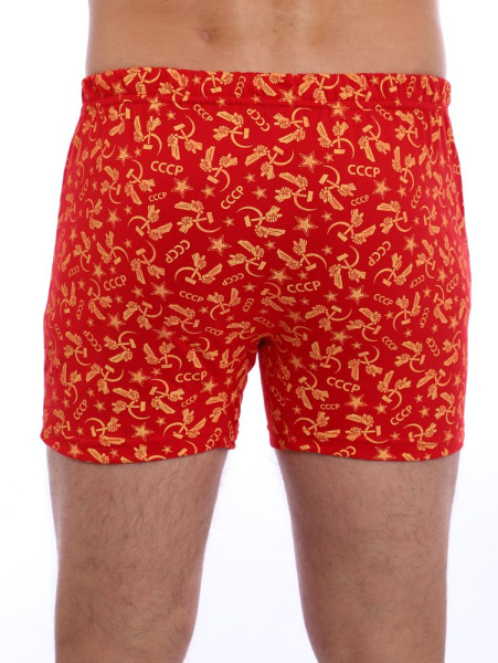 Трусы-боксеры, модель 212, трикотаж (Ностальжи)